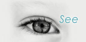 therapy-potentials-bradenton-sarasota-see
